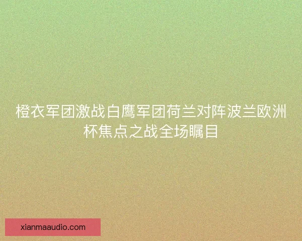 橙衣军团激战白鹰军团荷兰对阵波兰欧洲杯焦点之战全场瞩目