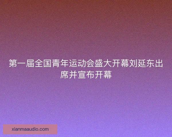 第一届全国青年运动会盛大开幕刘延东出席并宣布开幕
